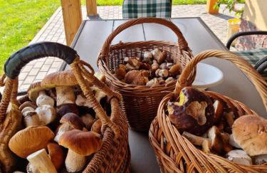 W Sercu Kotliny - luksusowe wille 8 osobowe z balią opalaną drewnem i widokiem na góry - Foto 70