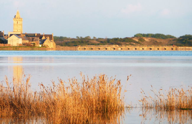 Le Pré Salé - Foto 12