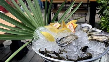 Cabane Claouey, bassin Cap ferret - Foto 5