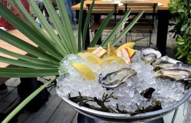 Cabane Claouey, bassin Cap ferret - Foto 5