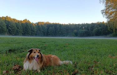 Ośrodek Wypoczynkowy WEZAJ - Foto 26
