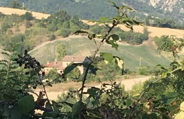 Monte Bibele - Foto 17