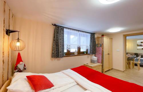 Apartament Jagodzianka Biały Dunajec - Foto 8