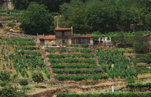 Apedeceo Belesar Villa, Ribeira Sacra, Galicia - Foto 48