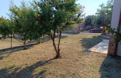 Grandmas Cottage - Photo 39