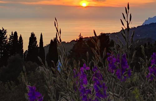 Stella Rossa - Foto 58