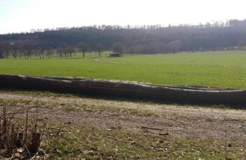 Holiday Home in Germany With Terrace - Foto 58