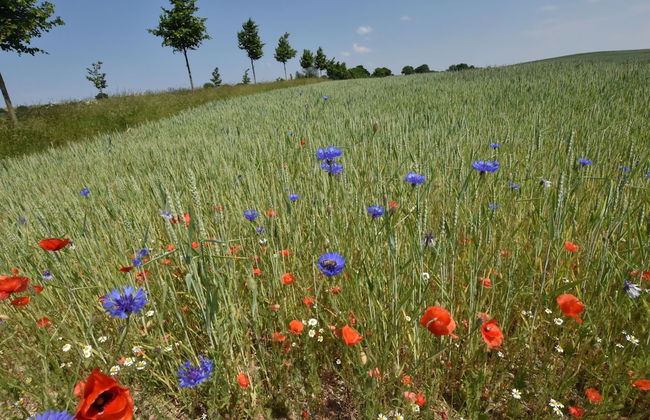 Gemuetliche Wohnung in Kroepelin mit Terrasse - Foto 18