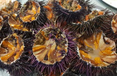 1215 BAIX CAMP casa con jardin - Apivend Immo - Foto 36