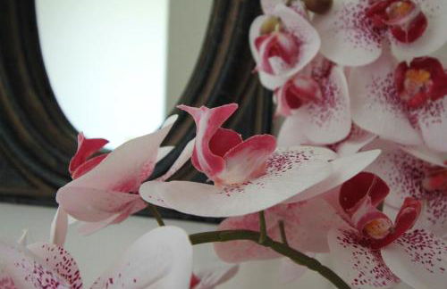 Casa dos Ouriços - Foto 32