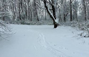 Unique Fully Restored Landmark Barn in Hudson - Foto 39