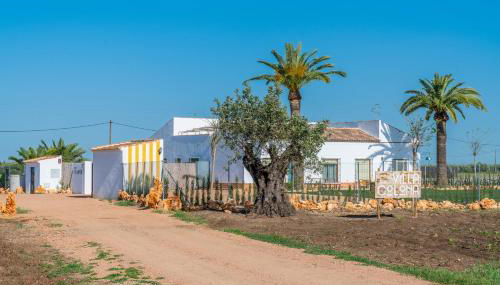 Villa Colona - Foto 4, Garden, Garden view