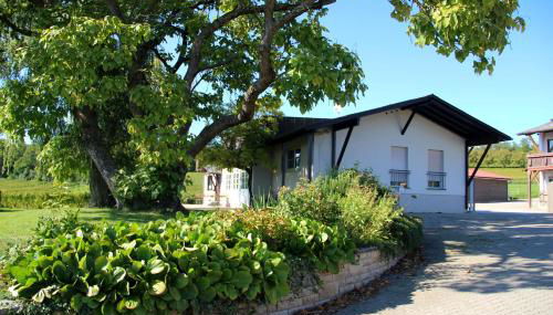 Ferienwohnung auf dem Weingut am Klotz - Photo 2