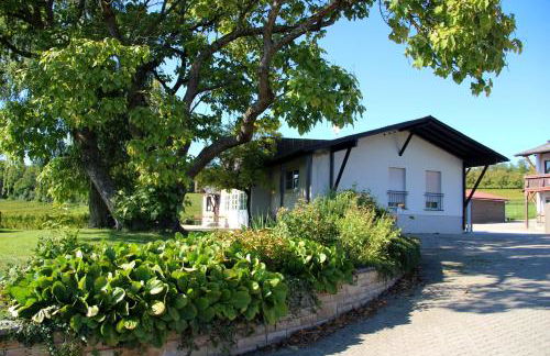 Ferienwohnung auf dem Weingut am Klotz - Foto 2