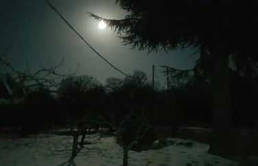 Etna, salvia e rosmarino - Foto 40