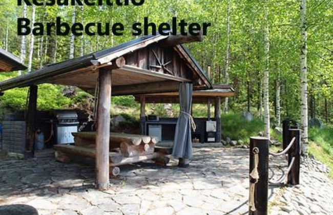 Koivukallio - Photo 5