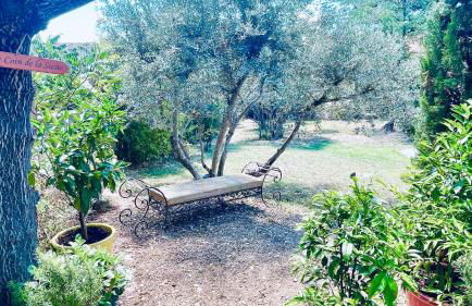 Le Mas du Félibre - Foto 15