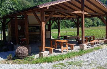 Bieszczady noclegi ,,U Andrzeja'' - Foto 13