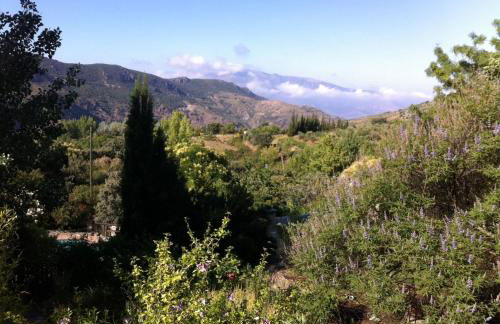 Cortijo La Viñuela - Foto 69