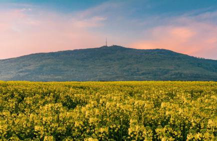 Apartament Monte Ślęża & Spa - Photo 25