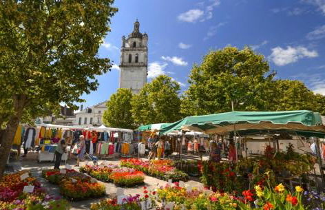 Agréable logement à Loches - Foto 10
