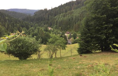 Ferienwohnung Schönmünzblick - Photo 48