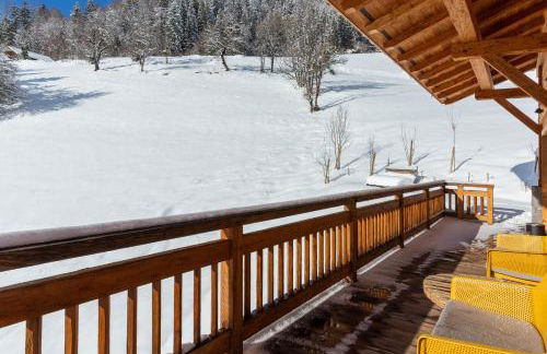 Chalet La Manigodine - Photo 65