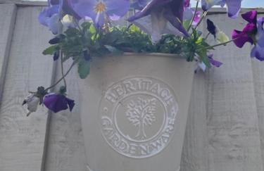 Tranquil 2-Bed Bungalow Near to Southwold - Photo 13