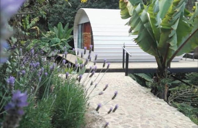 Finca El Tambor - Foto 4