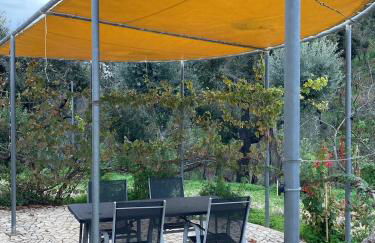 Oleiro de Cima - Foto 2