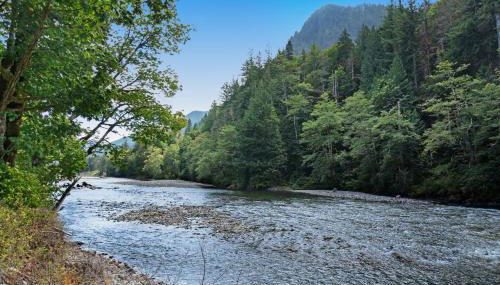 Rustic River Paradise - 1 Bed 2 Bath Vacation home in Baring - Foto 3