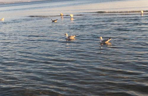 Landhaus am See mit Strandkorb in Scharbeutz - Foto 10