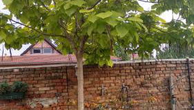 Ferienwohnungen Haus Leonore - Foto 4