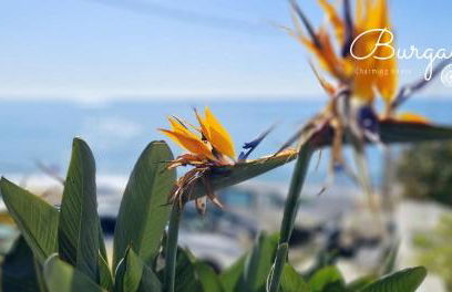 Burgau Charming House Loft - Foto 35