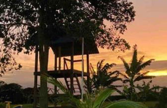 LD House- Bananeiras - Photo 72