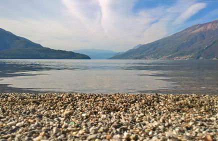 LITTLE FLOWER - Foto 59