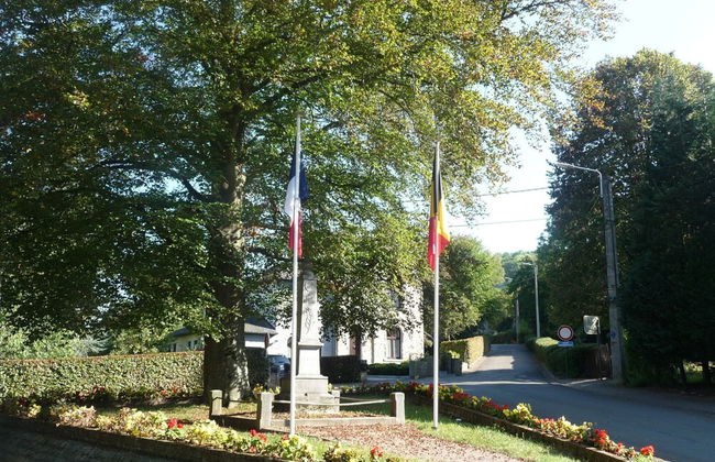 Mansion in Hastiere par Dela With Pool - Foto 52