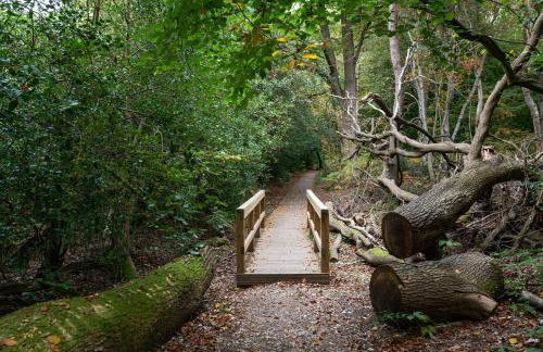 Amos Lodge Deluxe Accommodation - Photo 30