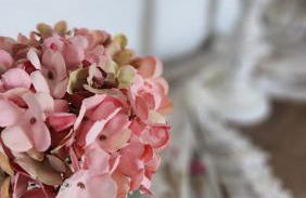 Urban 360 view Apartment - Foto 19