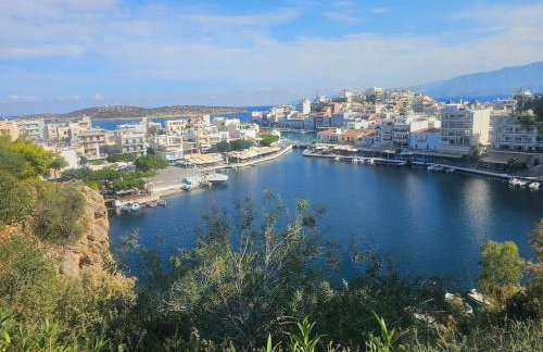 Iselia House - Photo 36