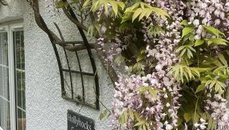 Hollyhocks Cottage surrounded by beautiful Cornish countryside. - Foto 4, Other