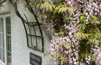 Hollyhocks Cottage surrounded by beautiful Cornish countryside. - Foto 4