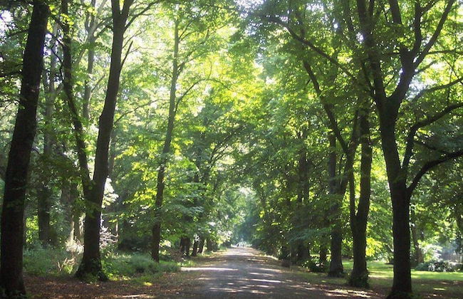 Basement Apartment Near City Centre - Foto 11