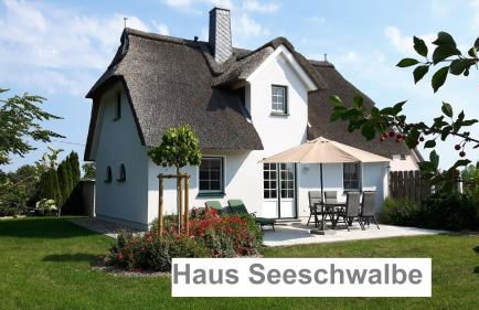 Ferienhäuser Salzhaff-Romantik - Foto 46