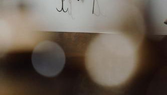 Forno House - Foto 3