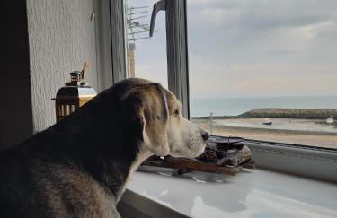 4 Harbour Views - Foto 57