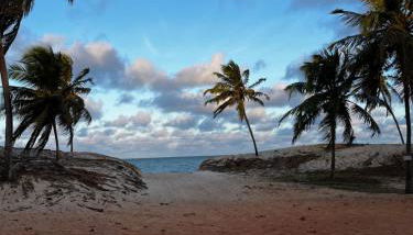 Maracajau Luxury Home - Villa-Mar-a-Villa - Foto 4