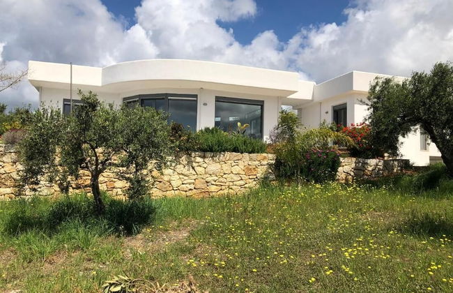 The Olive Grove Tsapi - Foto 1