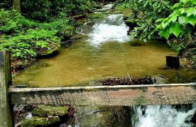 Big Timber Creek Cabin - Foto 47