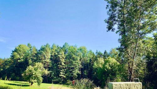 Chalet Dürrfeld ***** - Foto 2